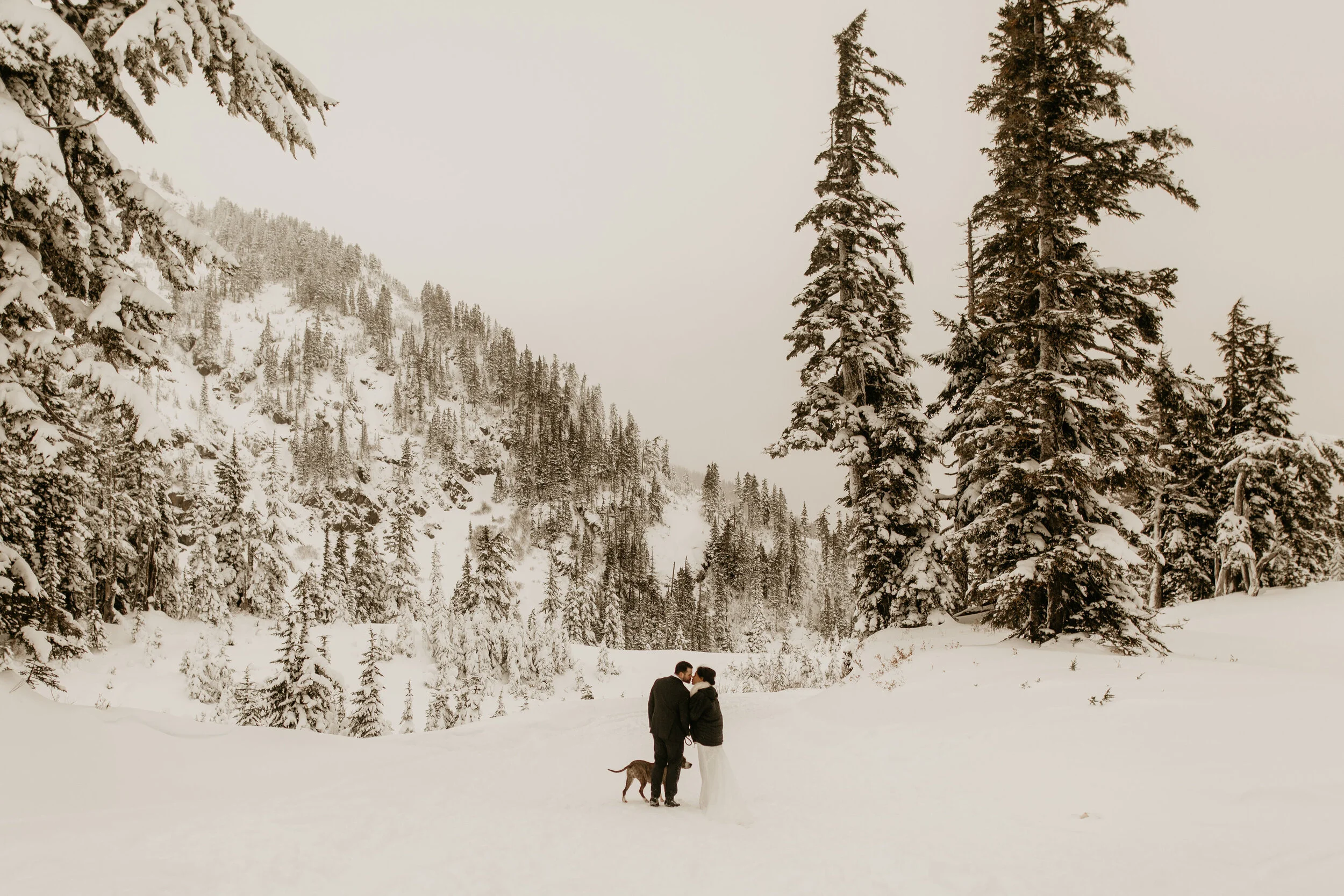 Mt-Baker-North-Cascades-Elopement-Photographer-BreeAnna-Lasher-161.jpg