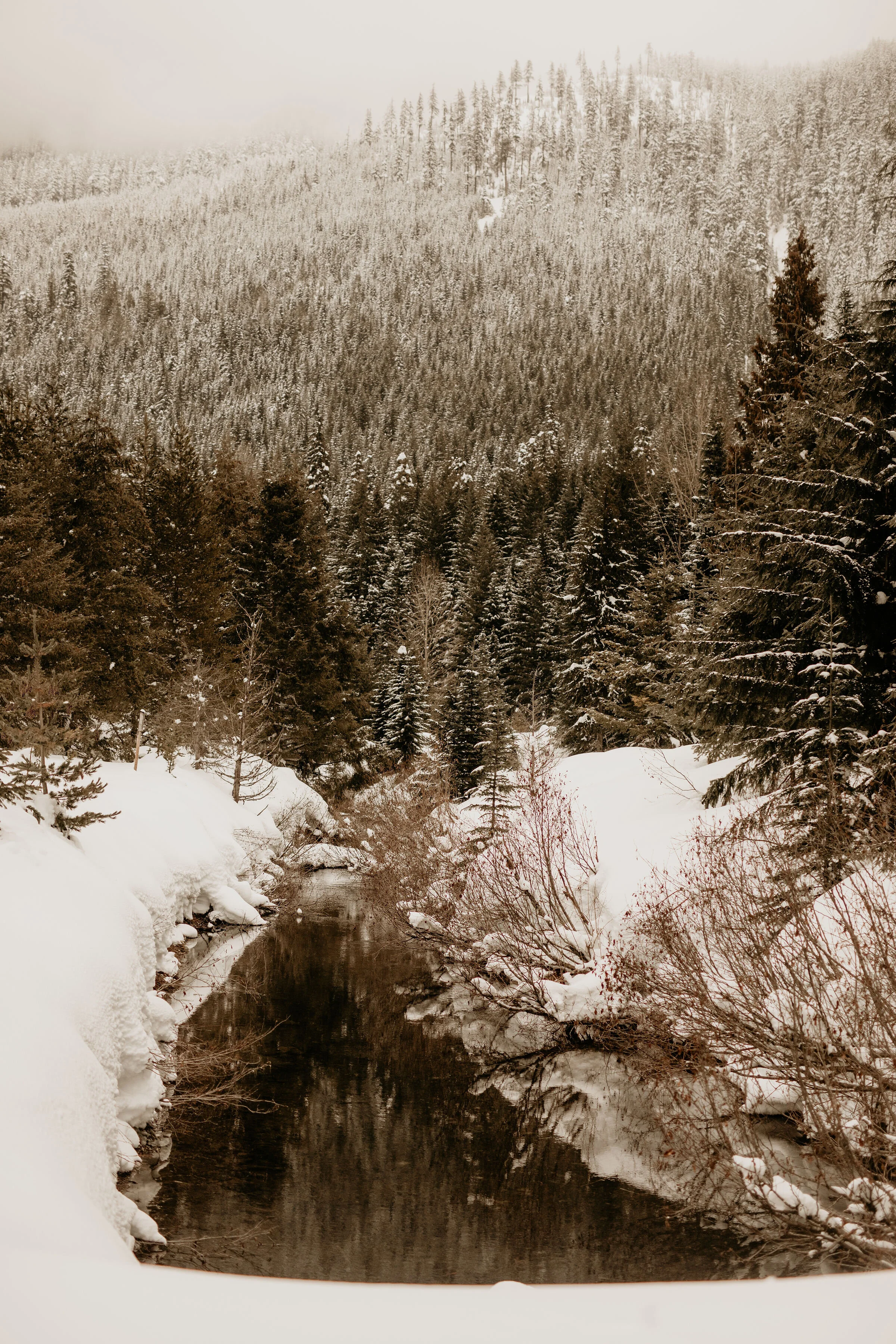 Snoqualmie pass best places to elope breeanna lasher