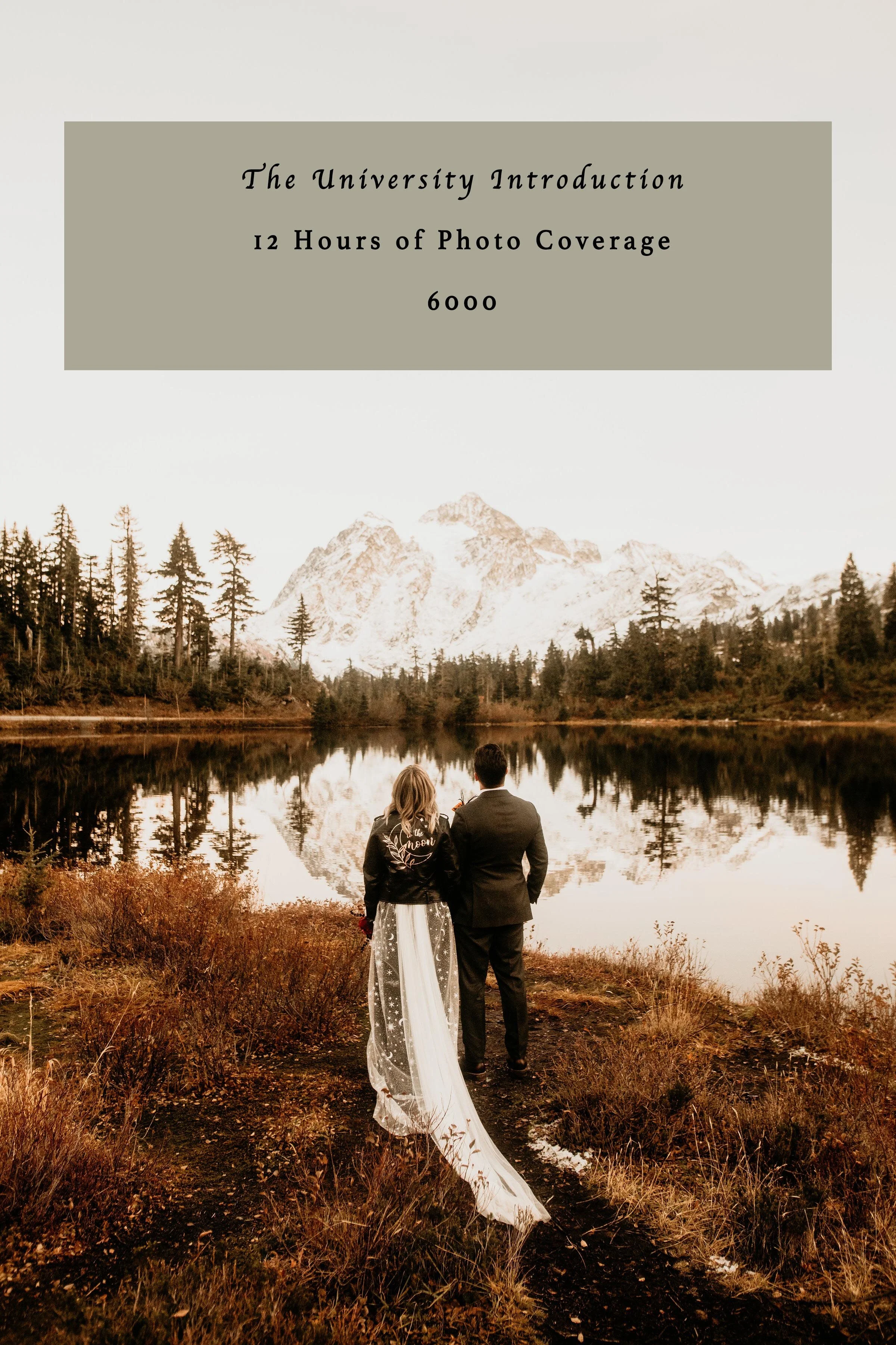 Niloufar Karimifar 1.jpg