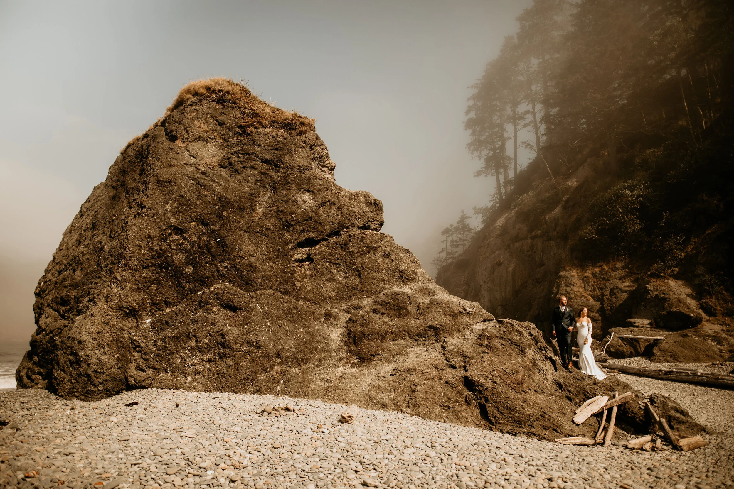 Hoh-Rainforest-Elopement-Photographer-BreeAnna-Lasher-262 (1).jpg