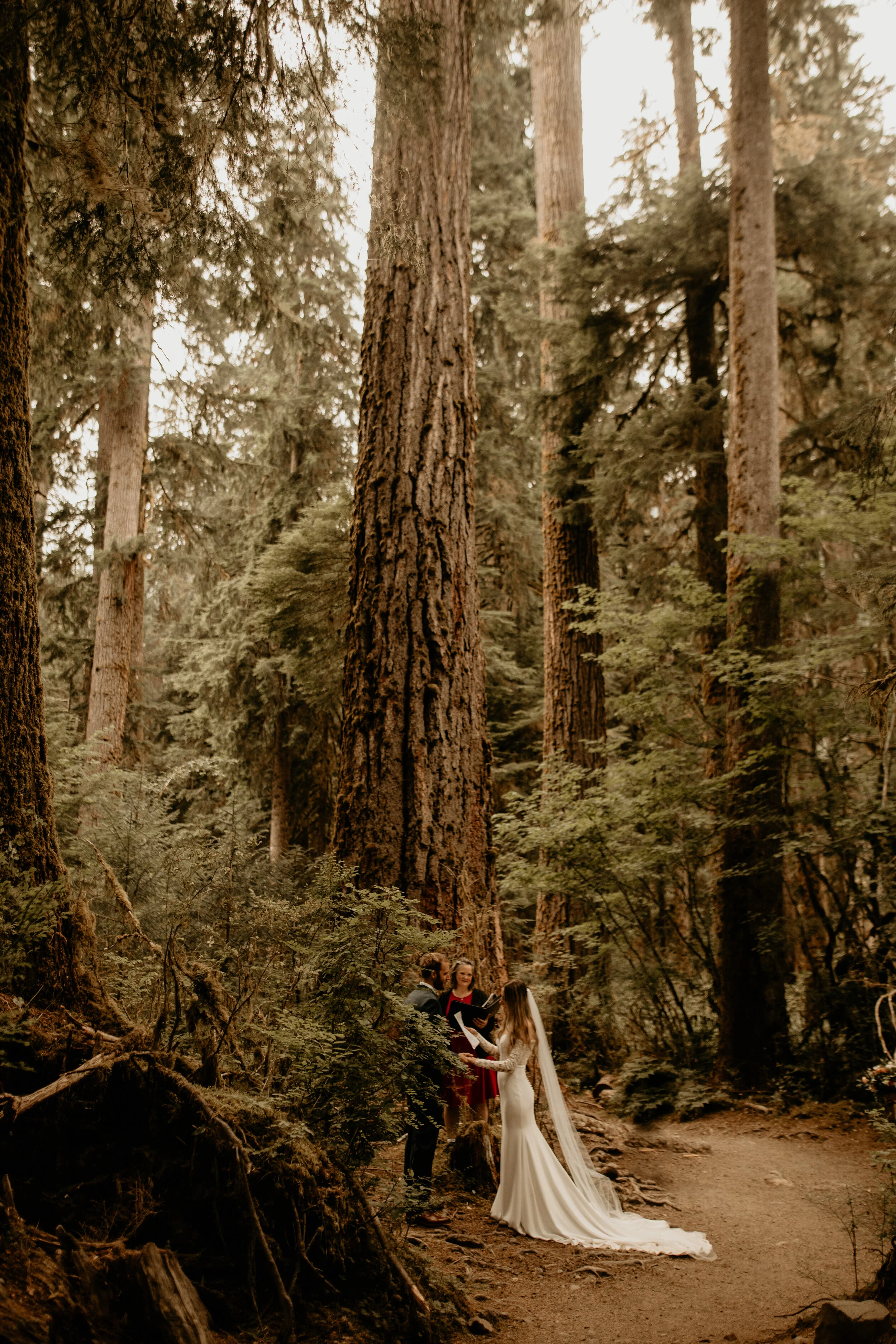 Ceremony At Hoh Rainforest (1 mile hike)
