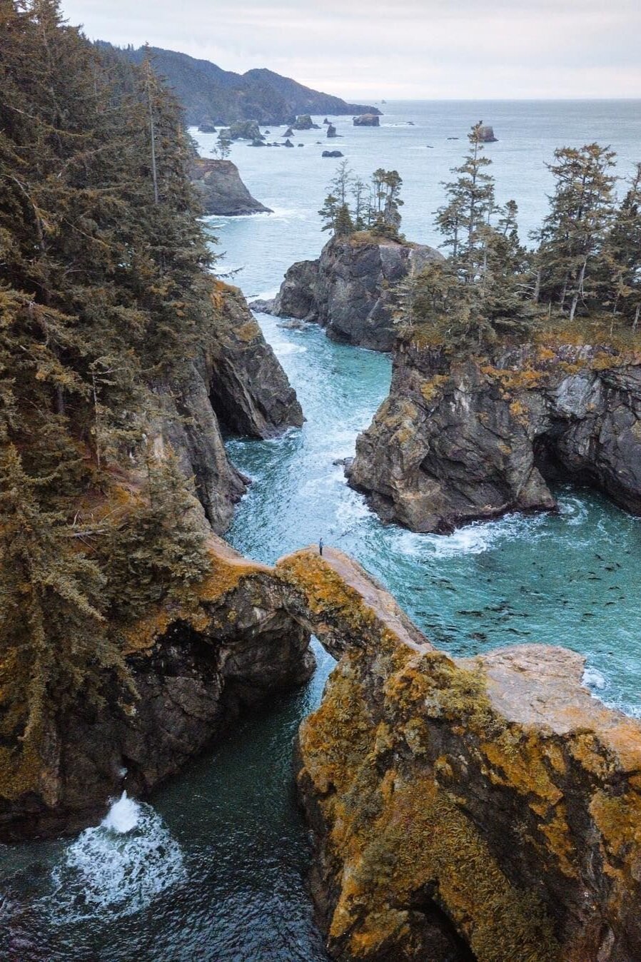 Portraits at Samuel H Boardman State Park