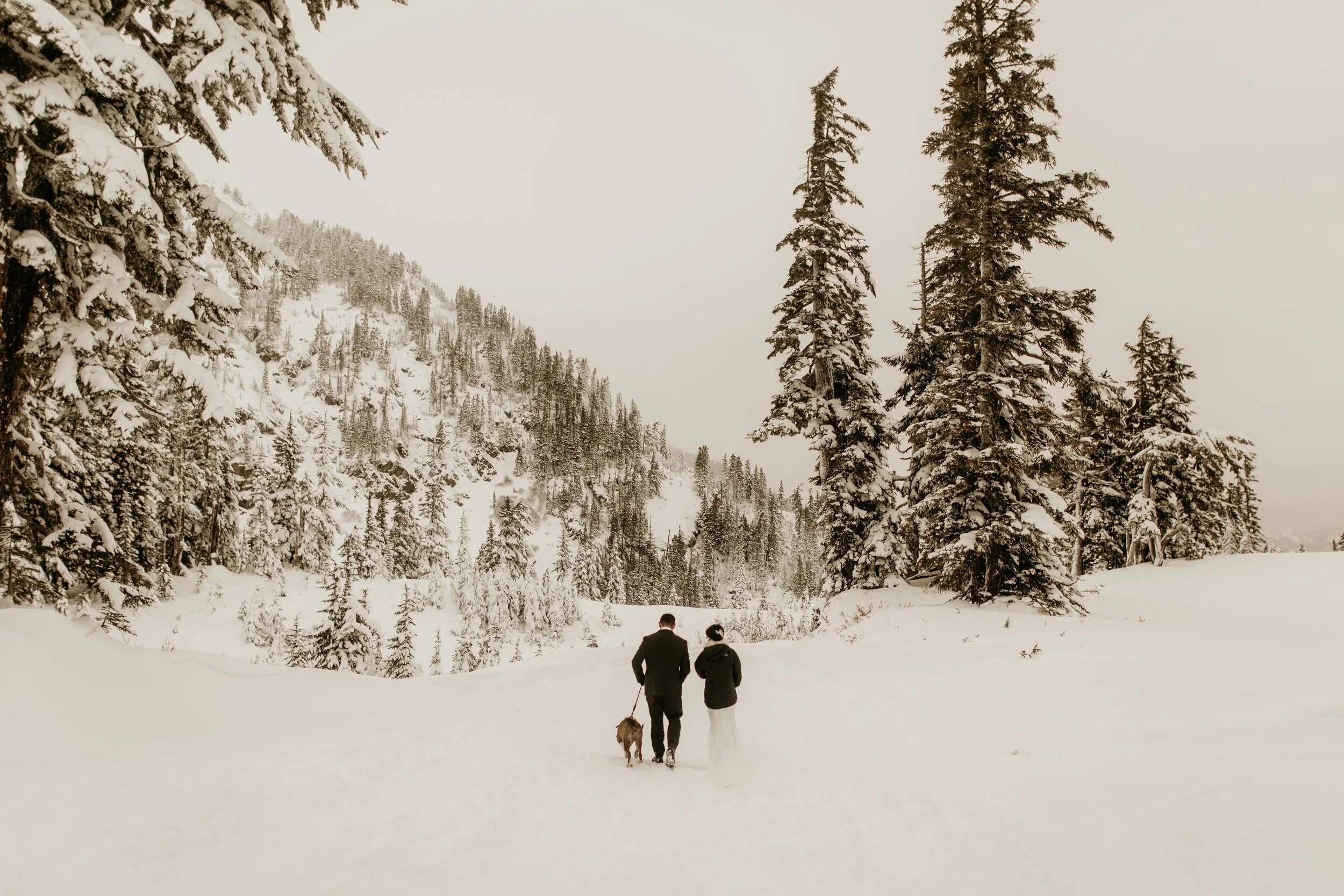 Mt-Baker-North-Cascades-Elopement-Photographer-BreeAnna-Lasher-160.jpg