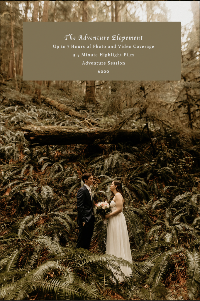 Screen Shot 2021-07-20 at 3.30.50 PM.png