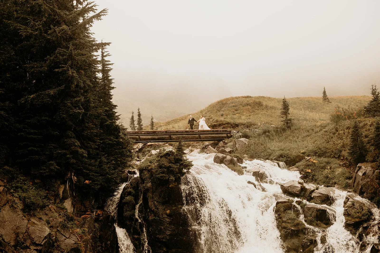 mt-rainier-paradise-elopement-photographer-BreeAnna-Lasher-321_websize.jpg
