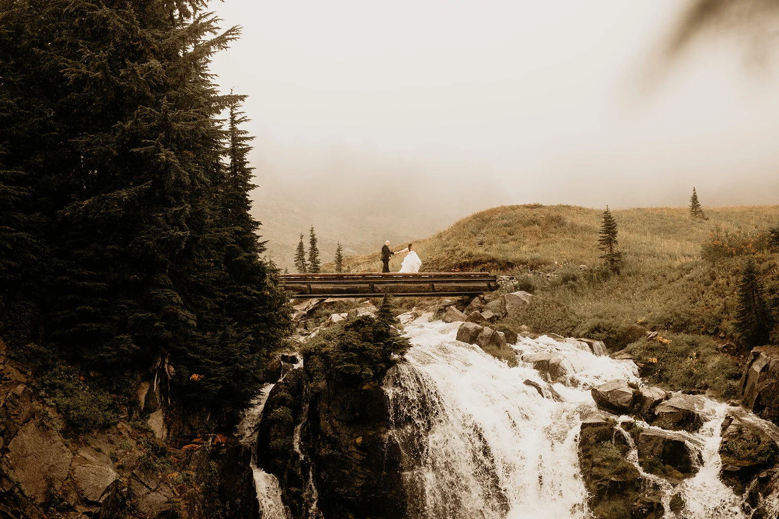 mt-rainier-paradise-elopement-photographer-BreeAnna-Lasher-319_websize.jpg