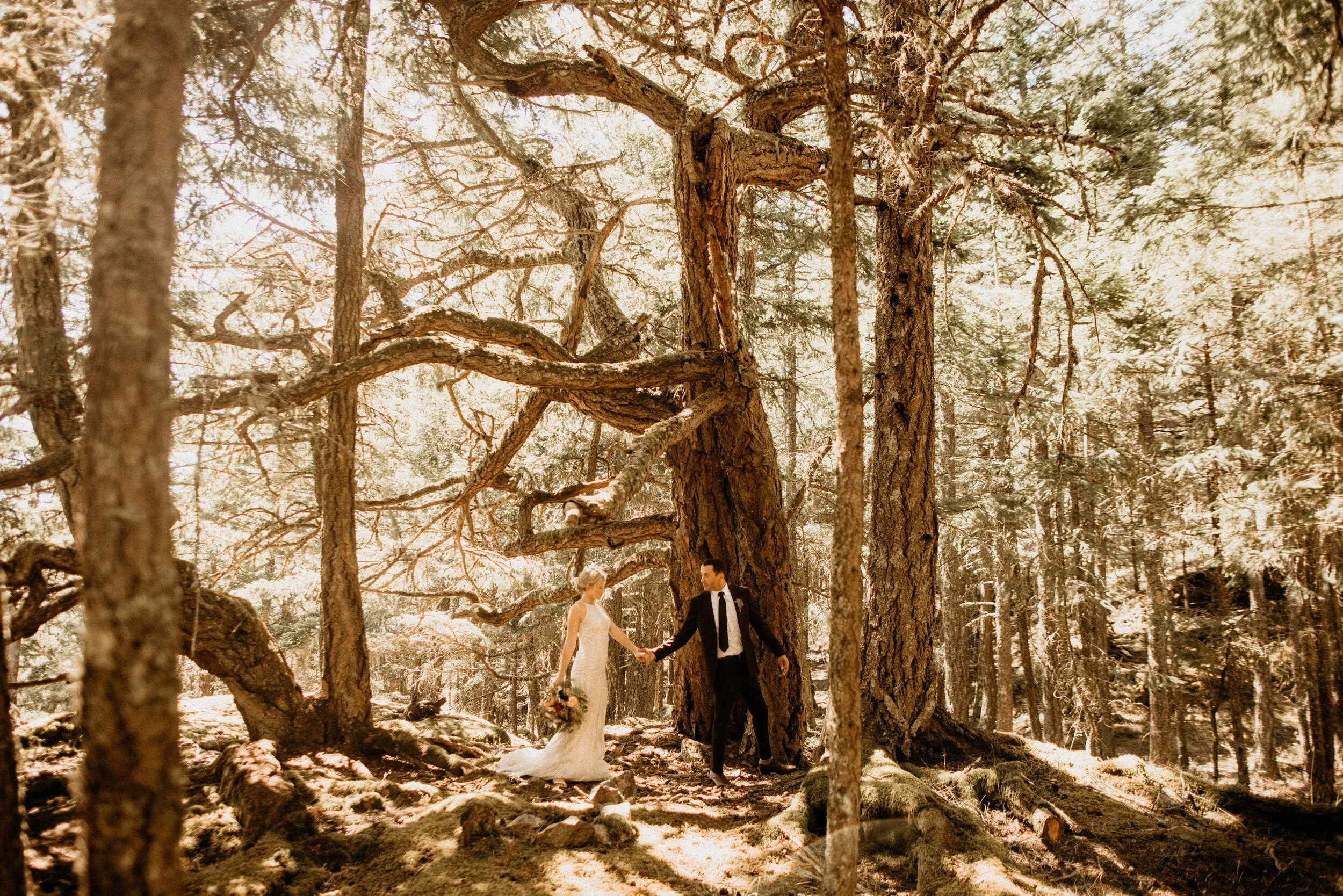 Orcas-island-elopement-photographer-breeanna-lasher-210.jpg