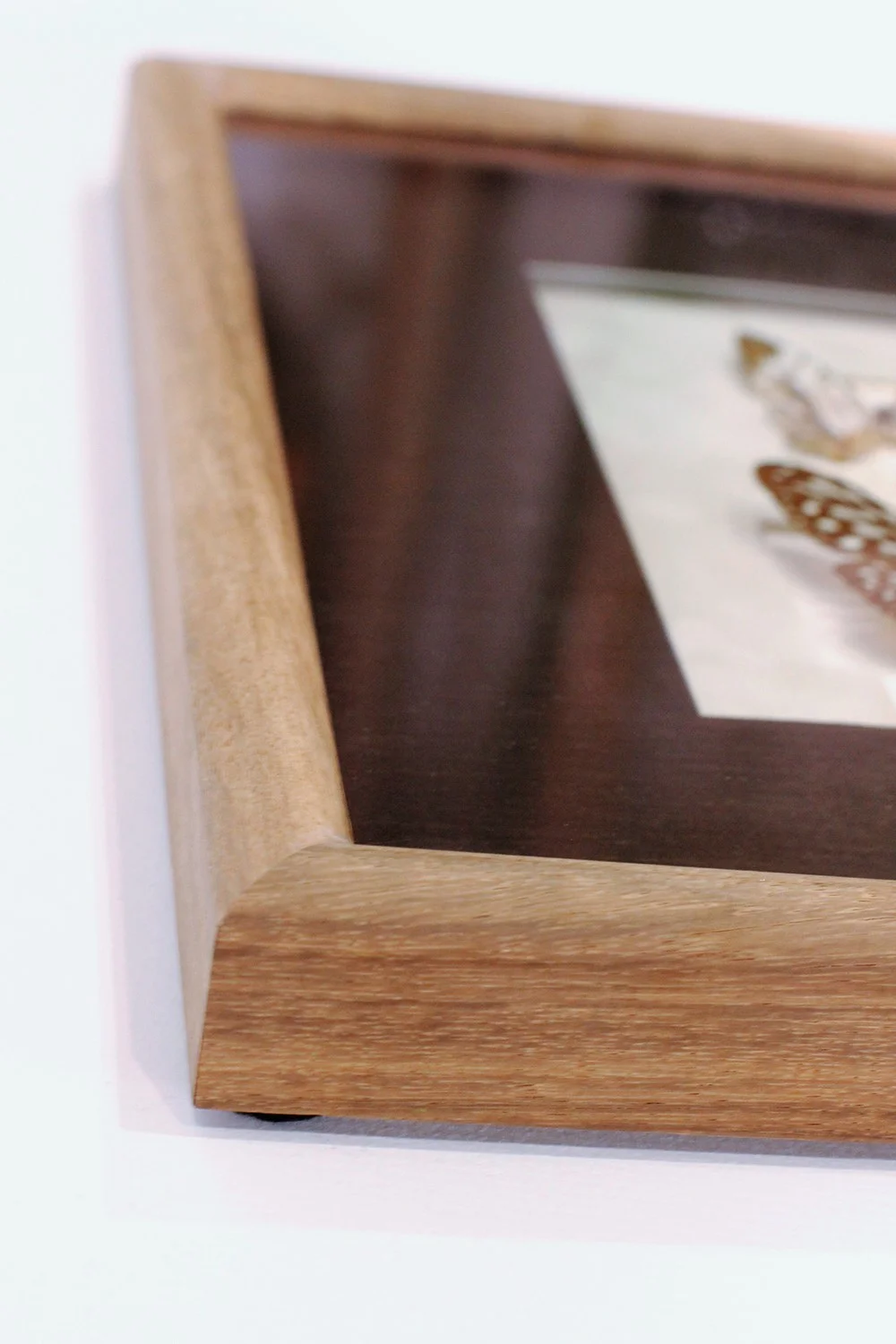 Native timber blackbean frame