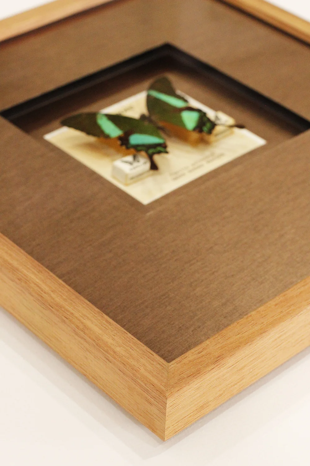 Vintage butterfly gift