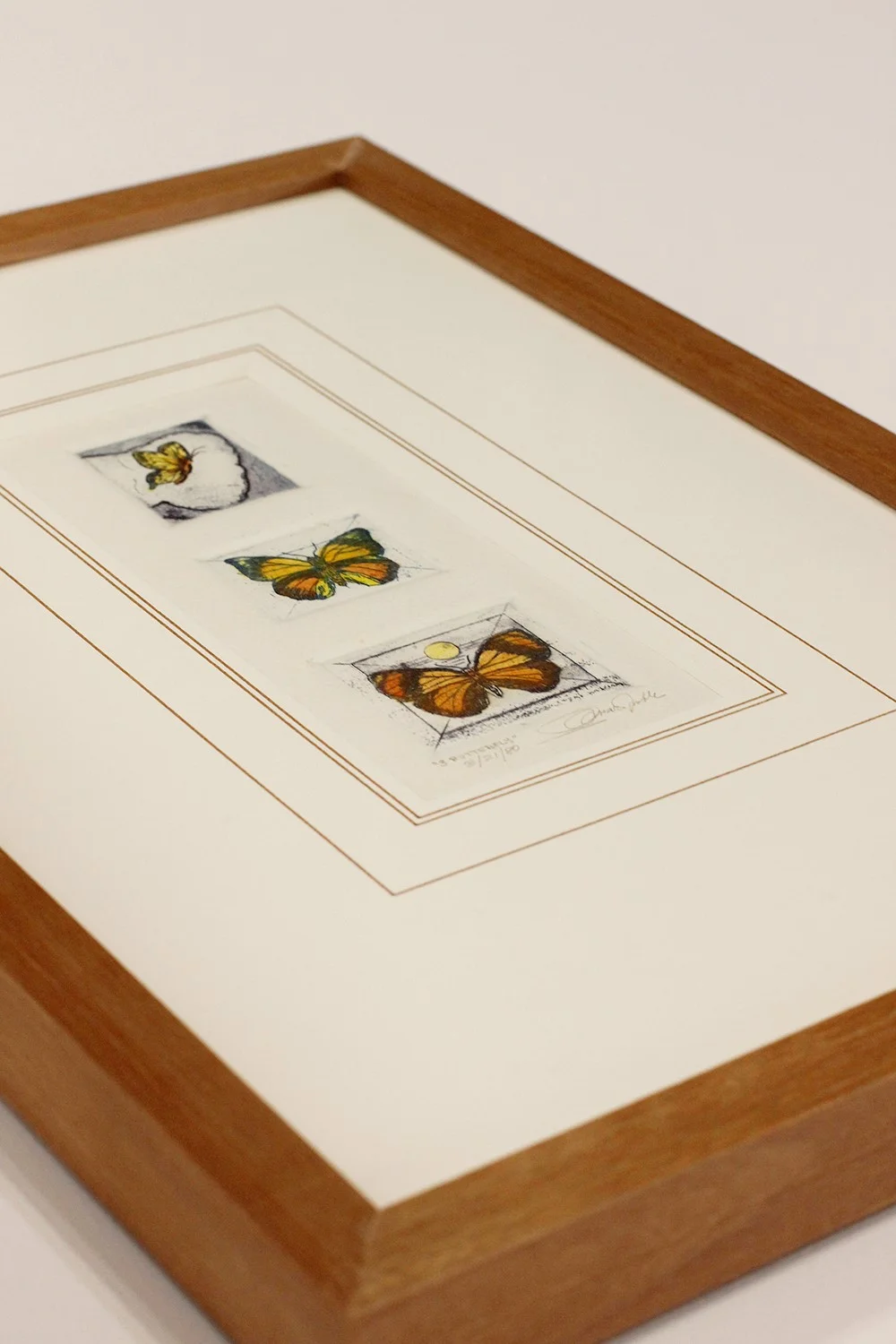 etching butterflies omar noble