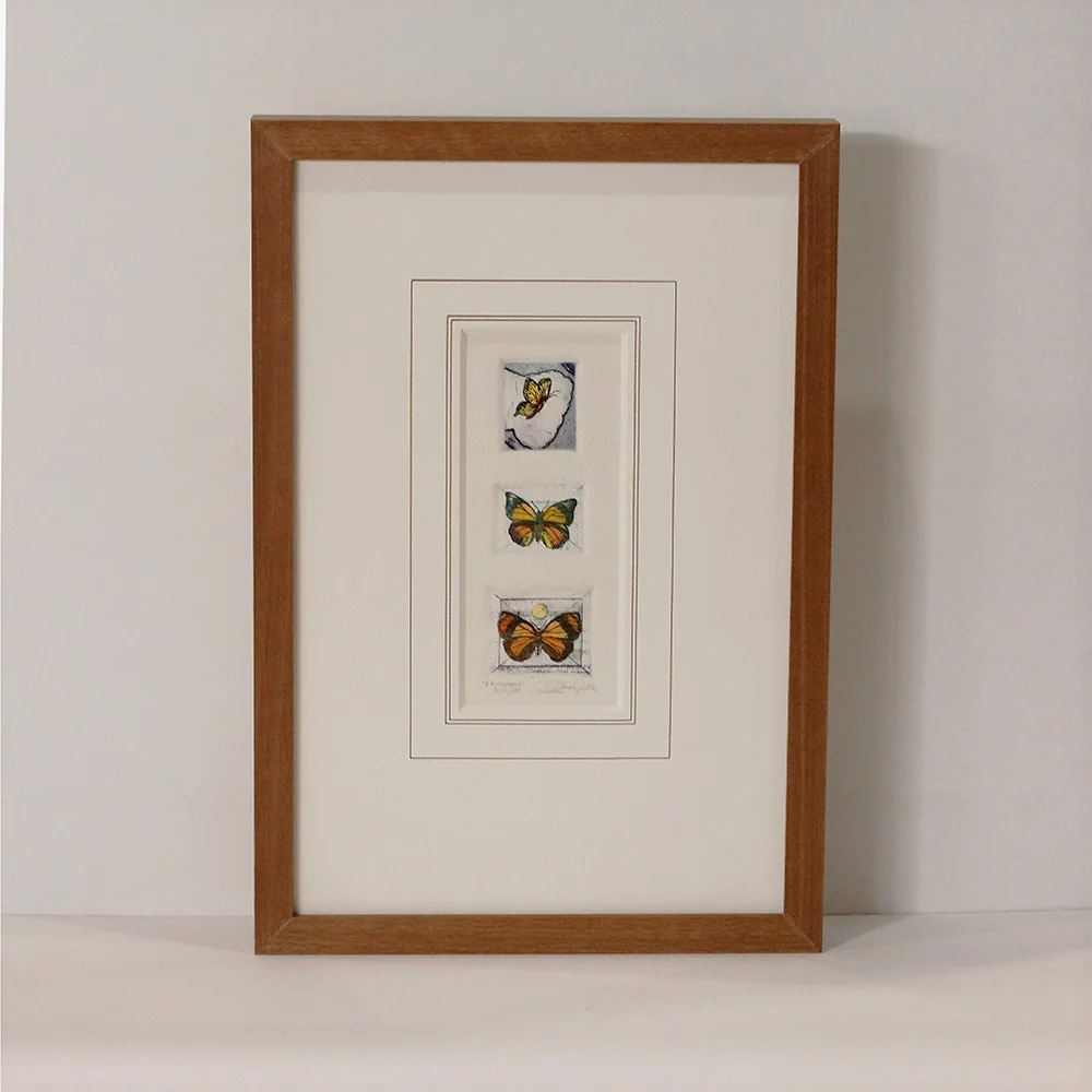 Etching butterflies omar noble