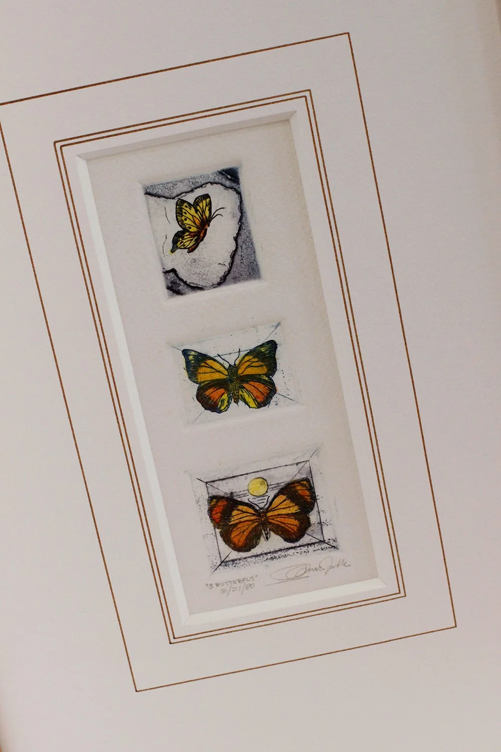 etching butterflies omar noble