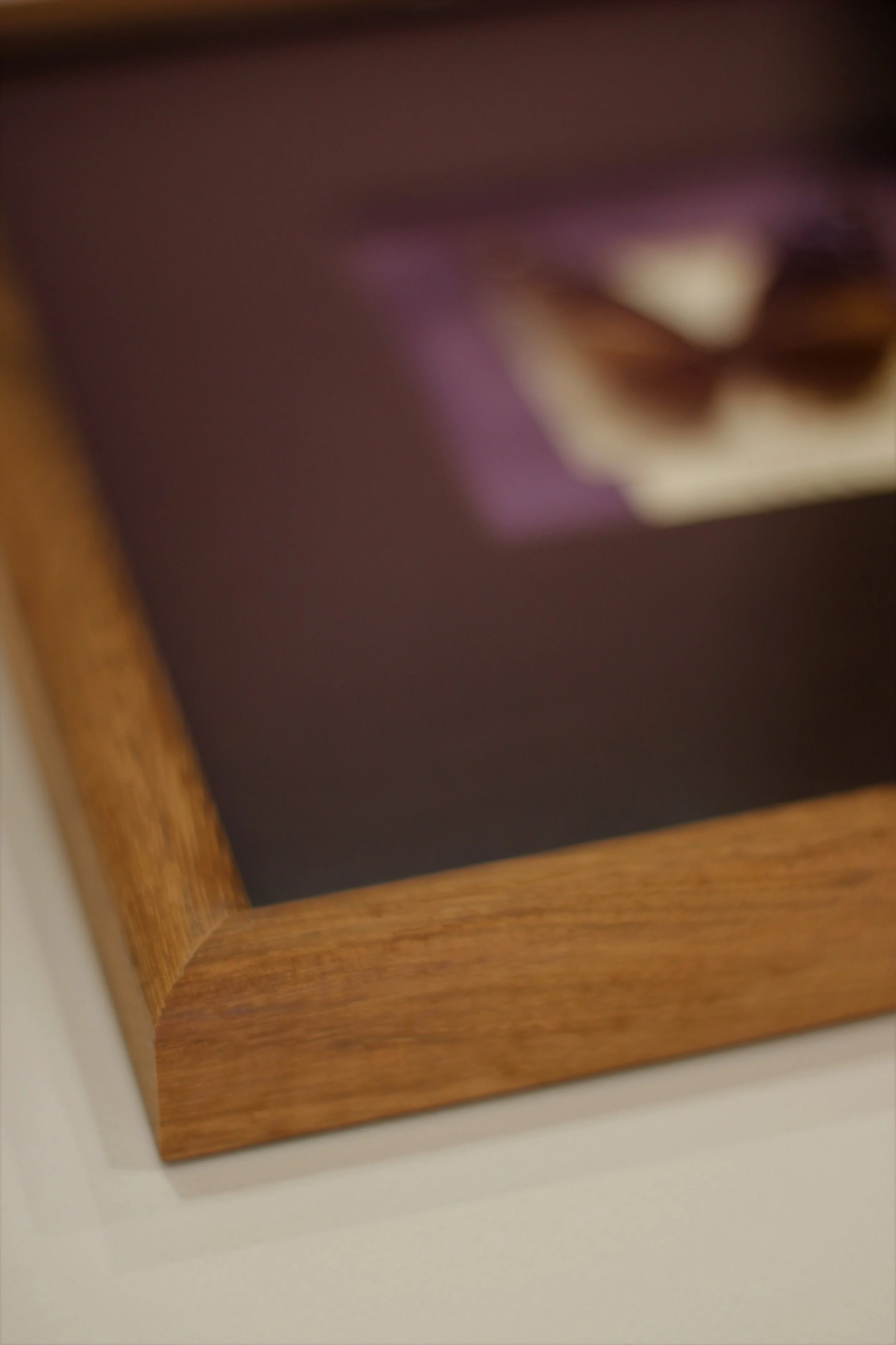 Native timber frame Blackbean