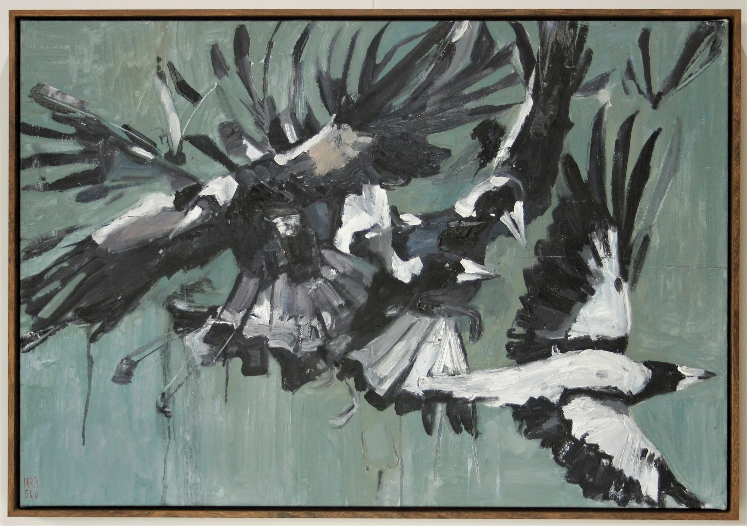 Jonny arnold painting magpies