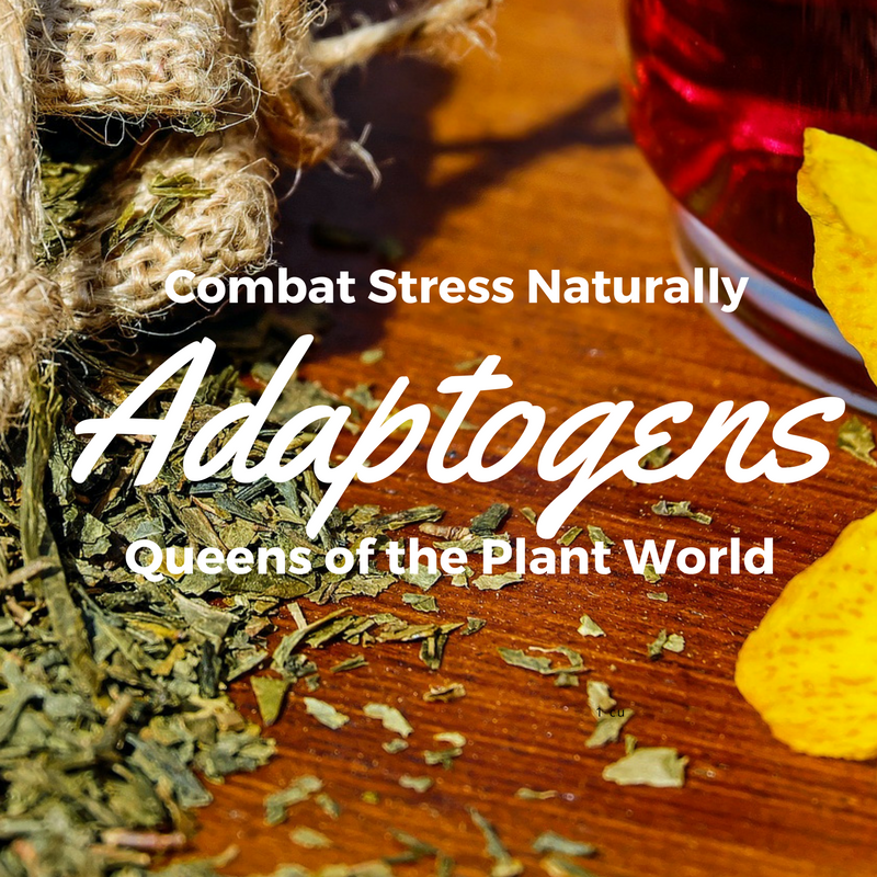 Adaptogens.png