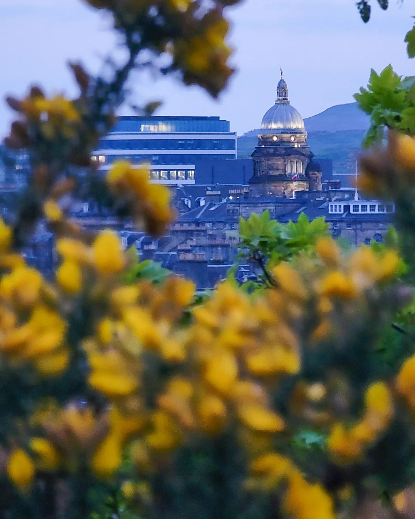 While Matt took some night shots over Princes Street, I walked around looking for different perspectives. This was my favorite from that little walk with the little yellow blooms framing Edinburgh.

#VisitEdinburgh #Edinburgh #Scotland #phonephotogra