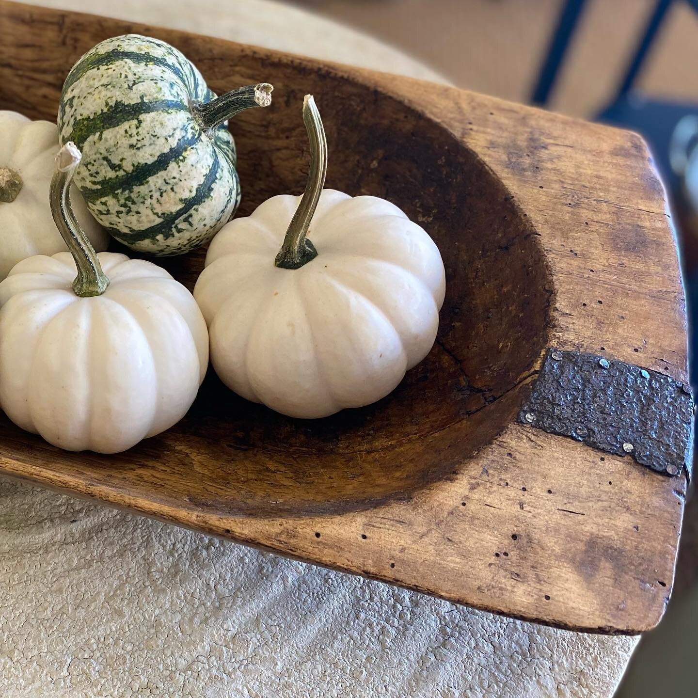 Our Antique Dough Bins are versatile pieces for your home that you can use all year long!  Love them filled with pumpkins in the Fall!  We currently have 4 in stock. (Antique Smalls are excluded from our Tag Sale) #antiques. #antiquesmalls #antiquede