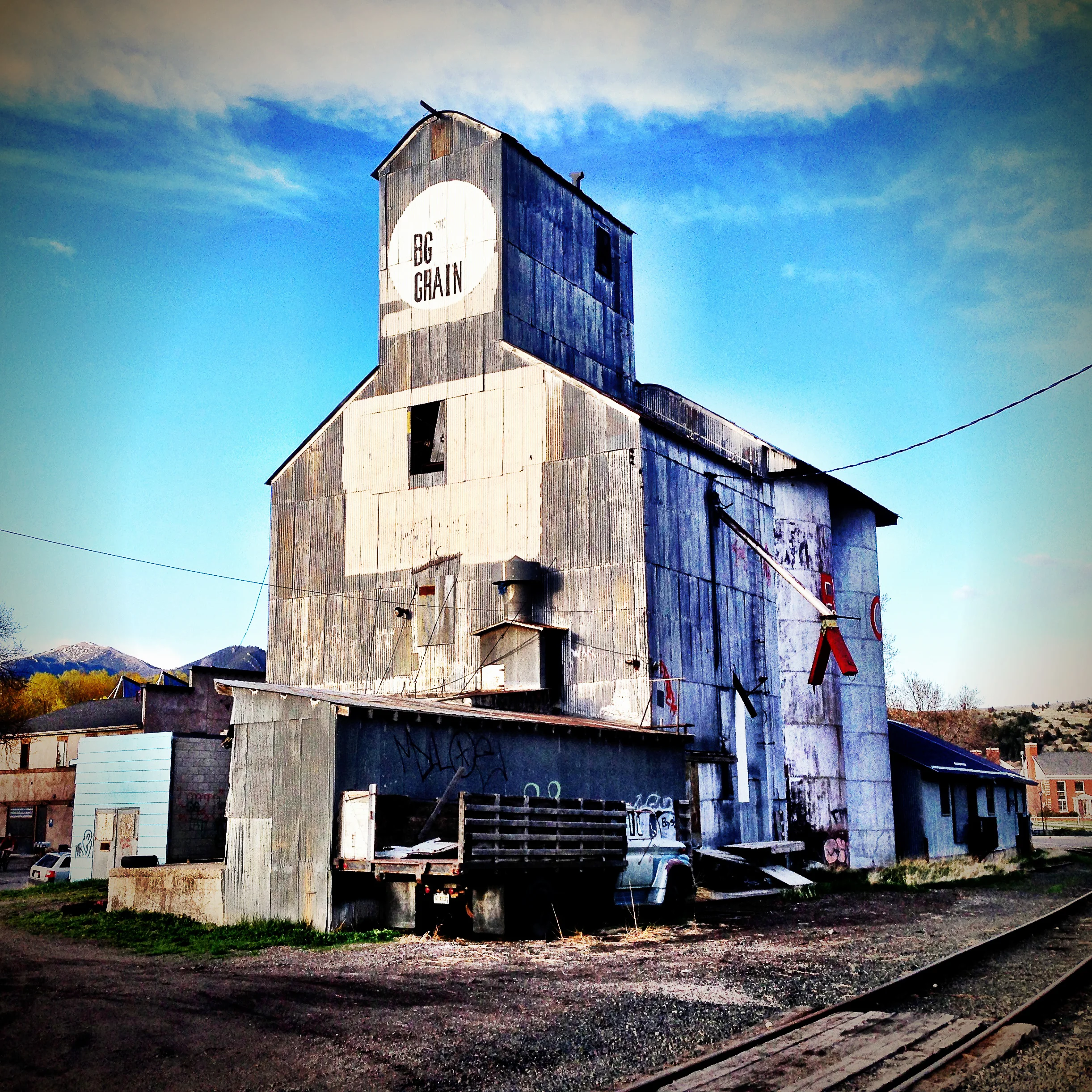 BG Grain.jpg