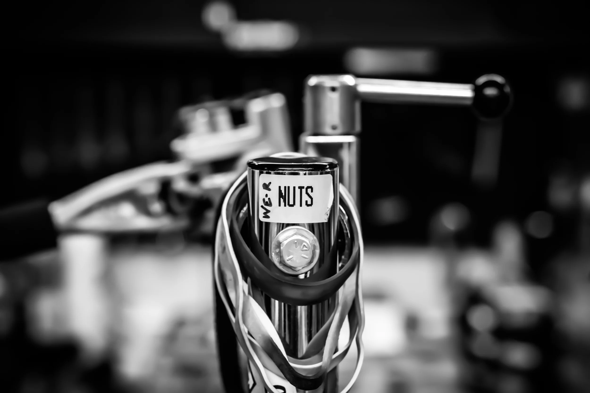 WerNuts-1.jpg