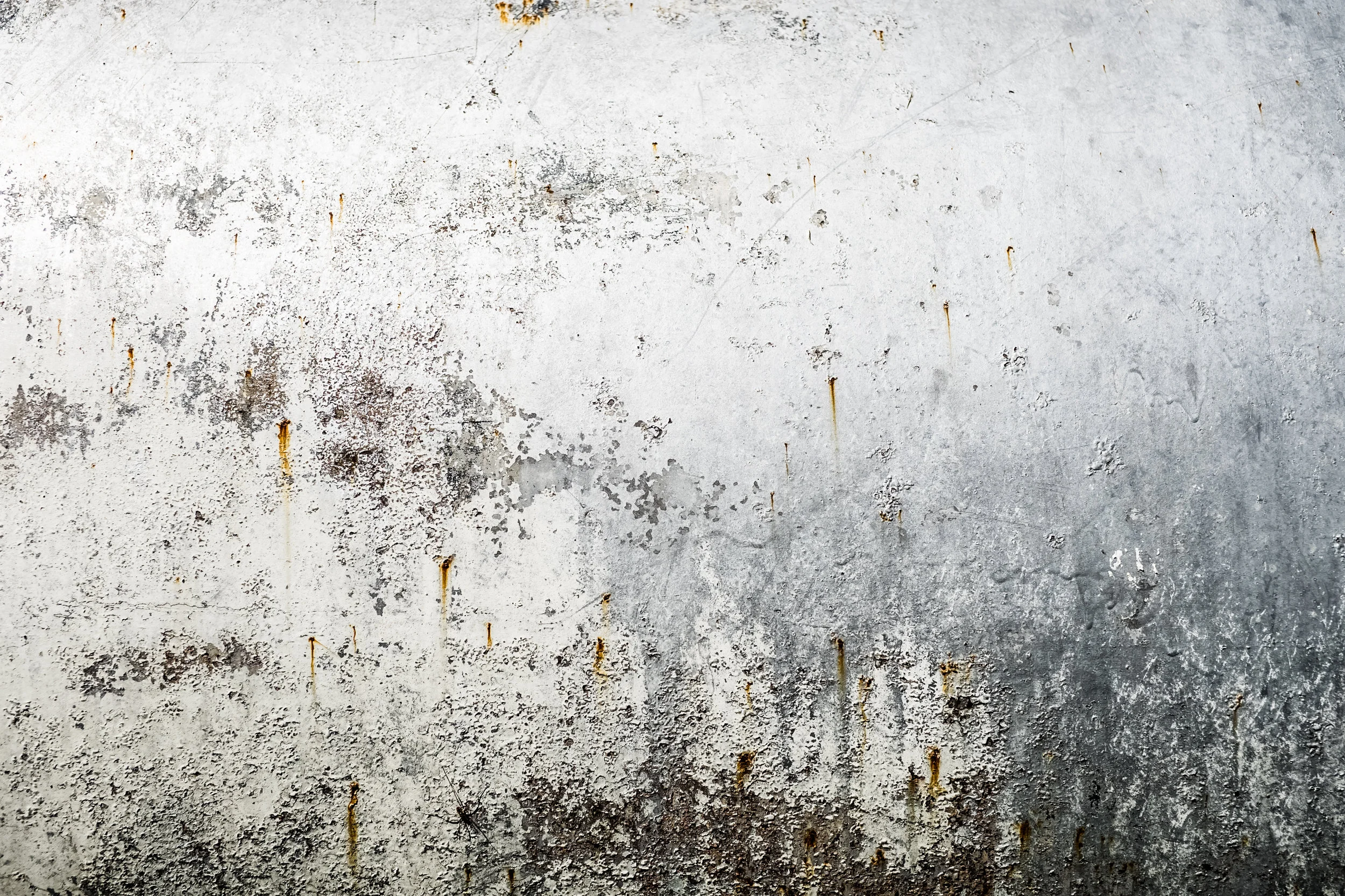BDC Abstracts-41.jpg