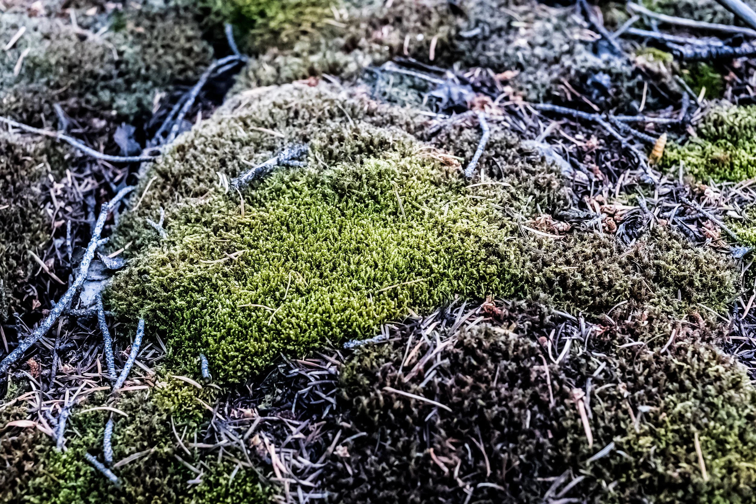 BDC Abstracts-56.jpg
