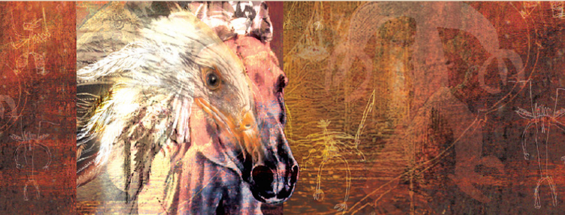 The lyrical journey of A Horse Called Freedom