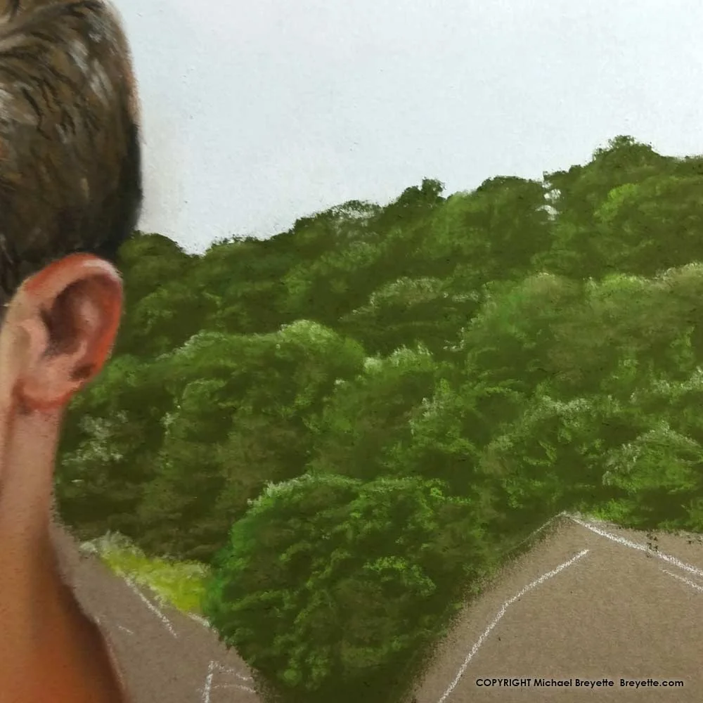 On the Drawing Board: Building a forest with pastels