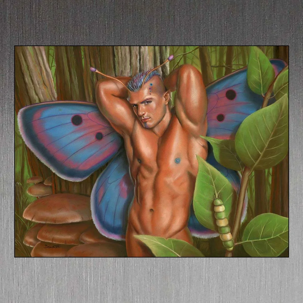 Metamorphosis