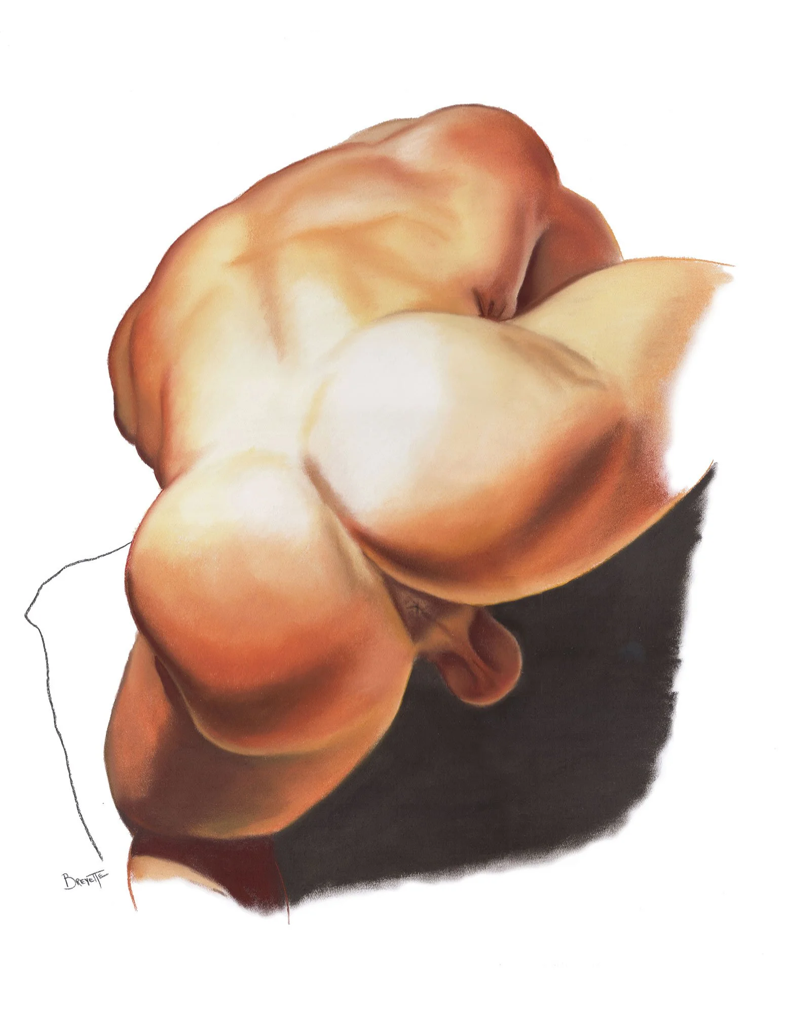 Bottom