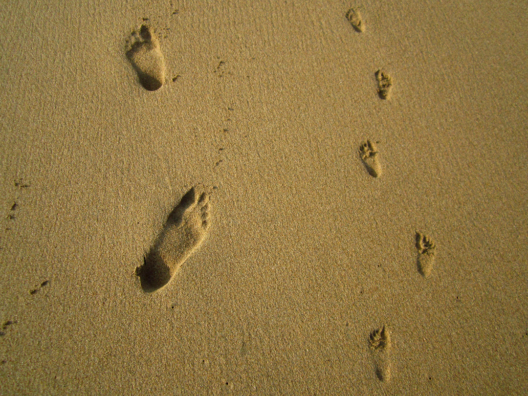 Big and little - Phil & Syd's footprints 
