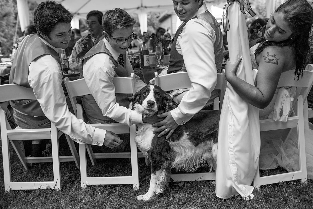 bainbridge_island_wedding-34.jpg