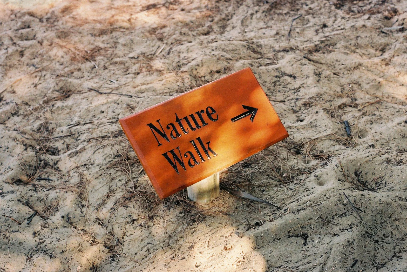 Nature Walk #1, Queensland