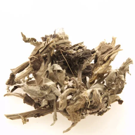 Gaiyo-2.jpg