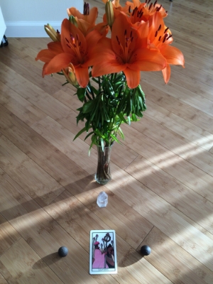 Six of Rods chillin' with Shaman Stones and Asiatic Lillies