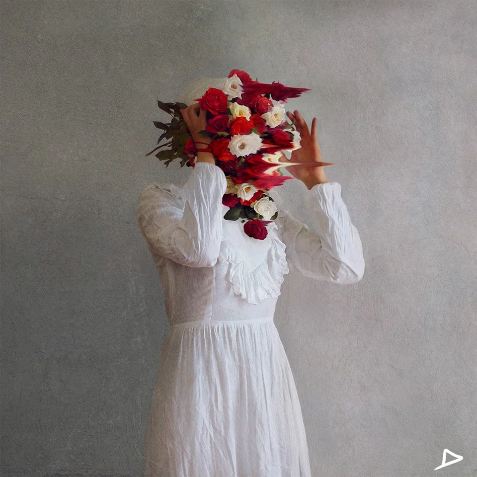 she NO2 by Lubna Abdelaziz