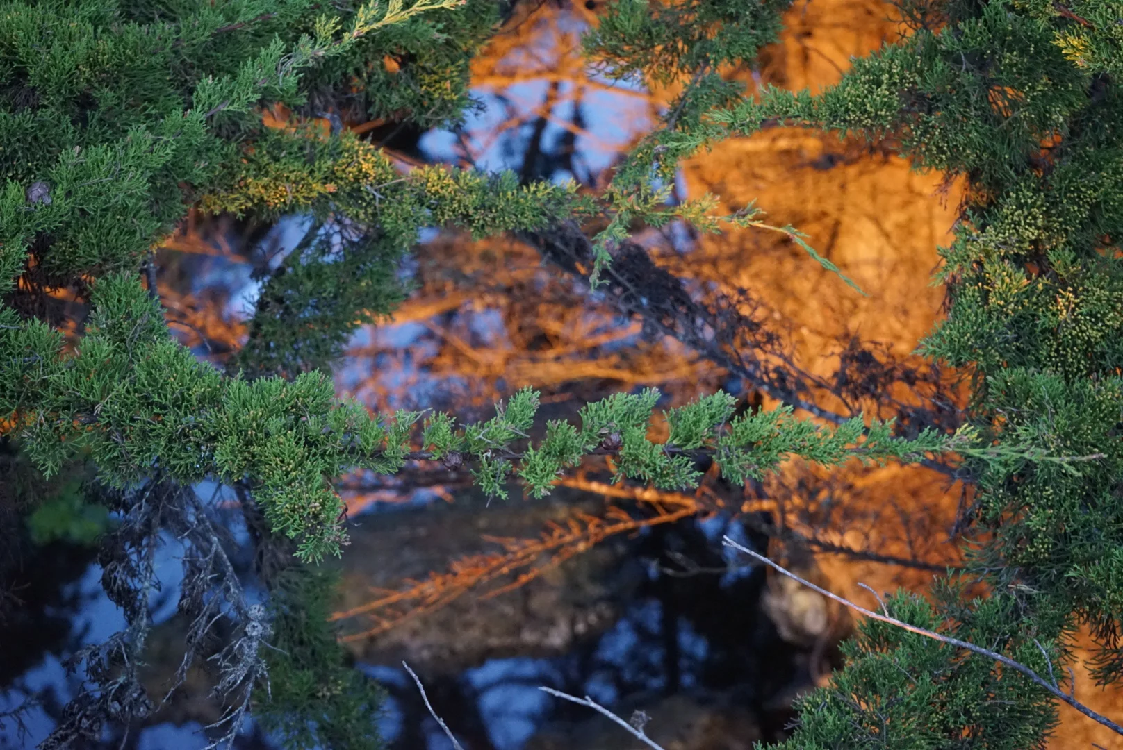 Photo Mar 13, 7 09 21 PM.jpg