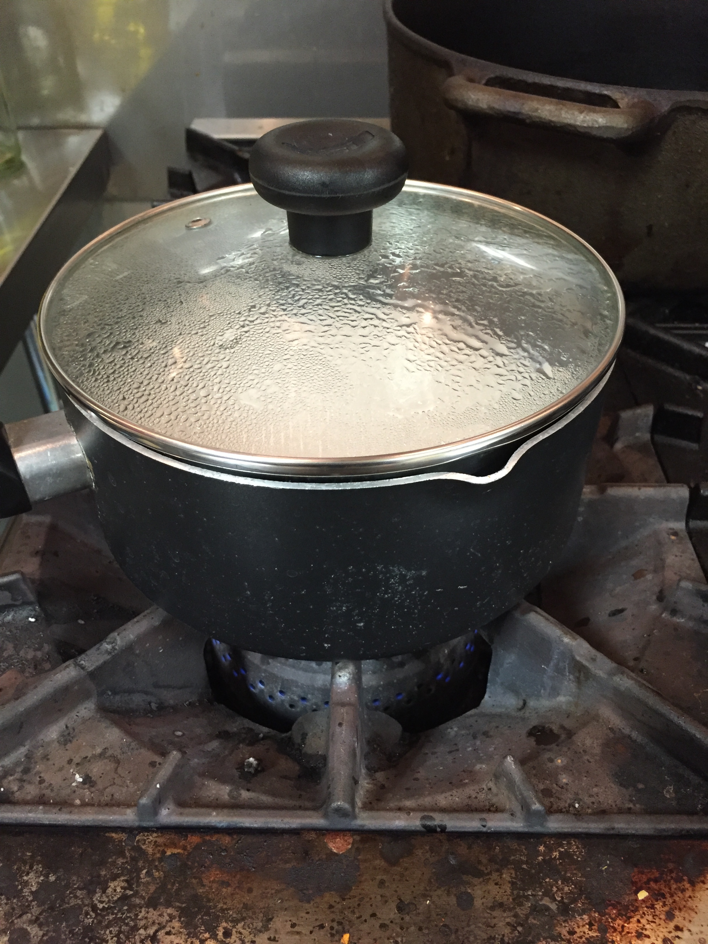 Cover and simmer...
