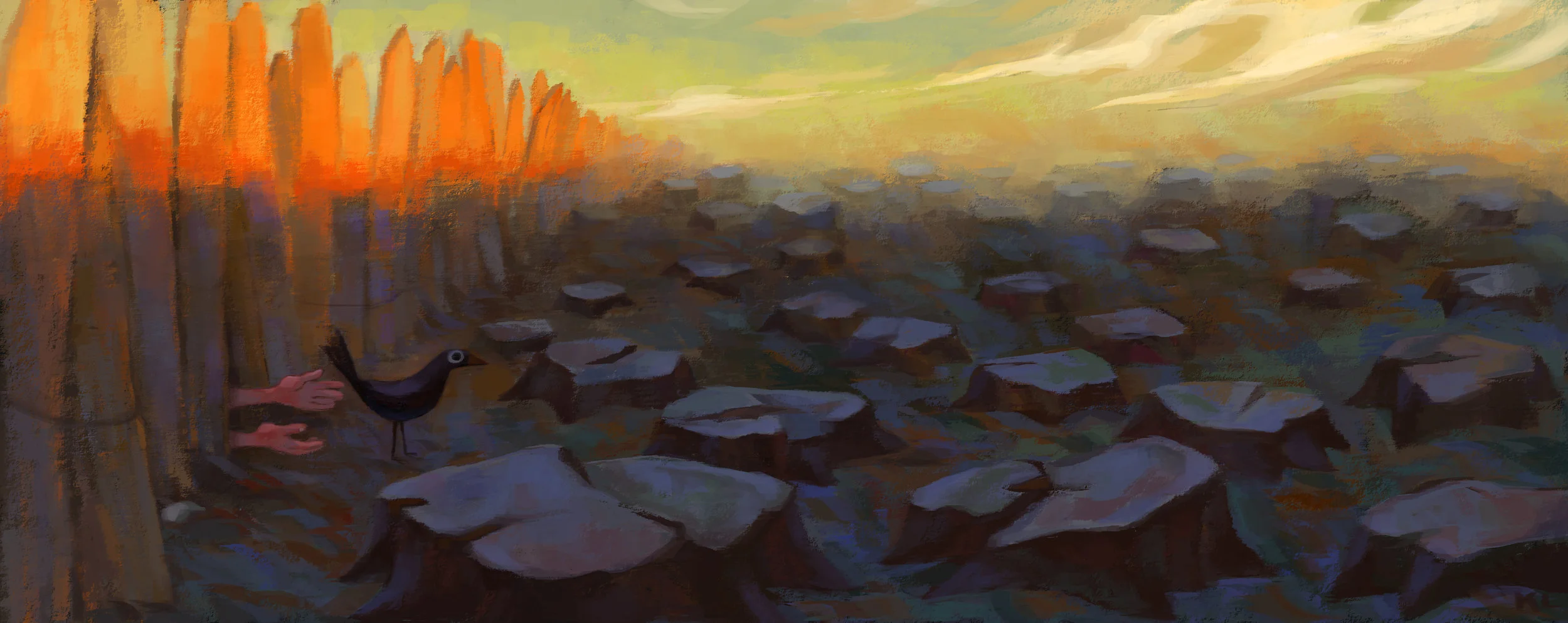 backyard5.jpg
