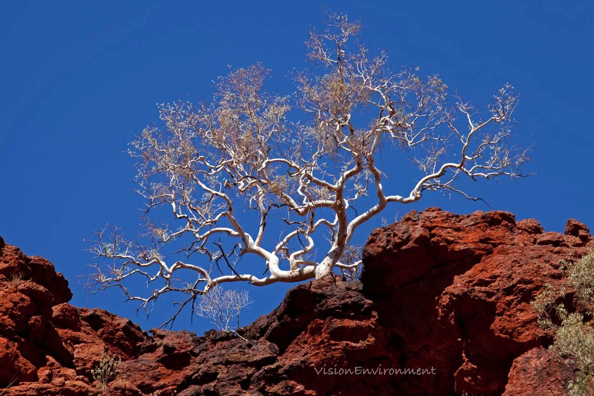 Karijini National Park