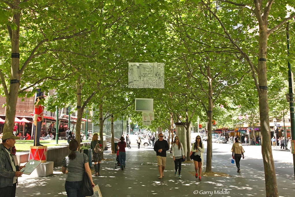 Defining and environmental and sustainability planning