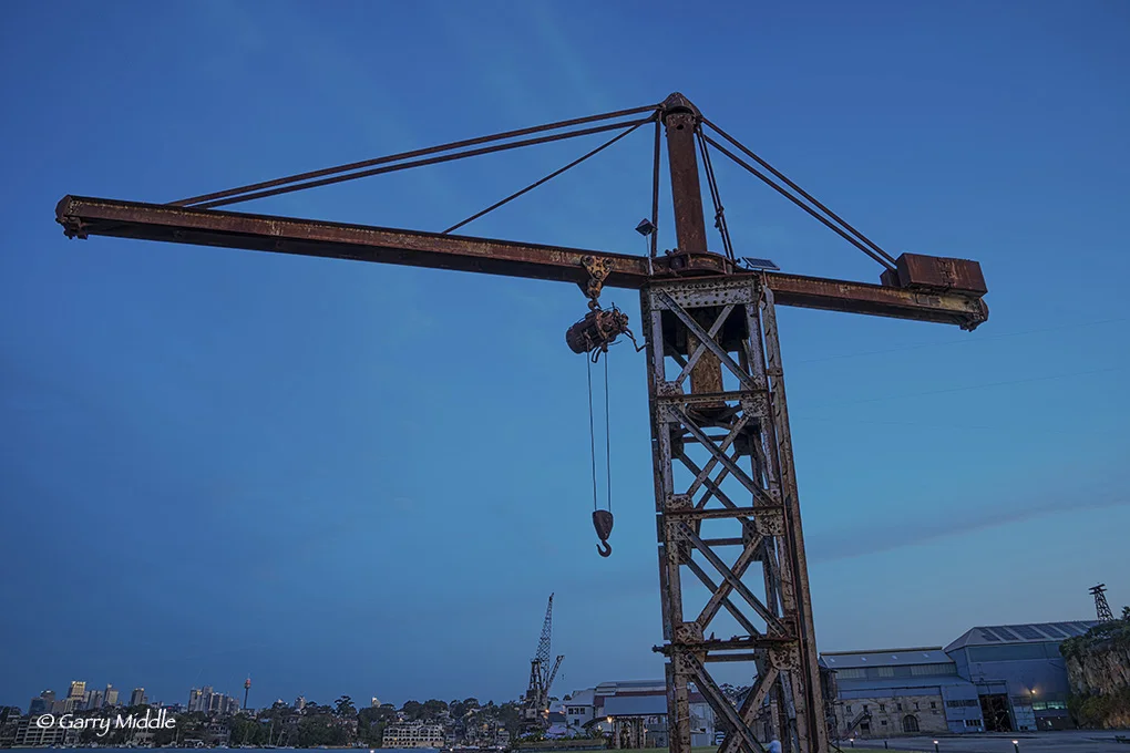 Crane early evening.jpg