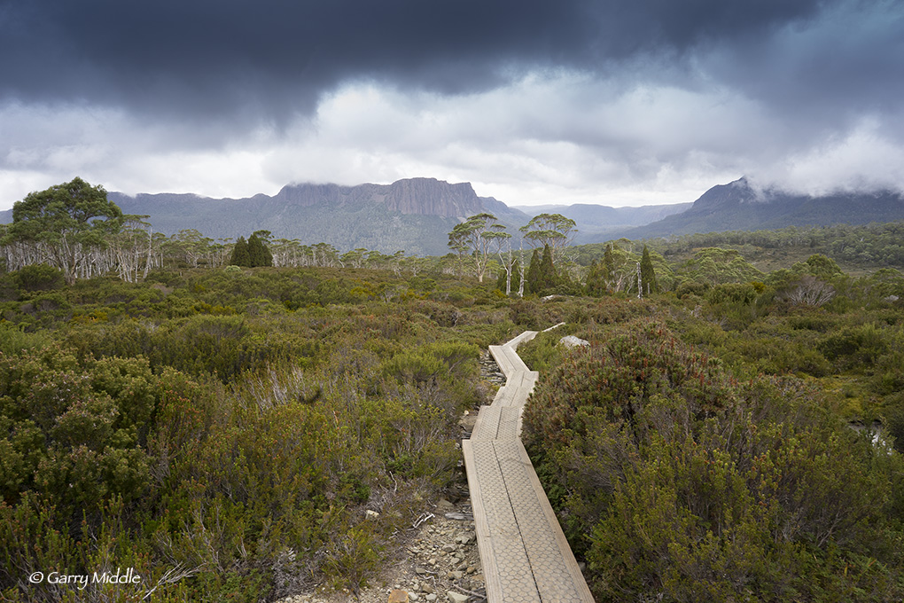 Latest project - photographs form the Overland Track, Tasmania