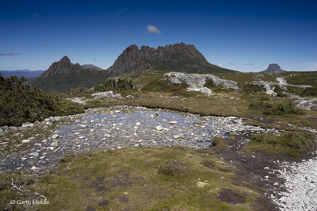 Small_Copyright_Craddle Mt from Mt Marian.jpg