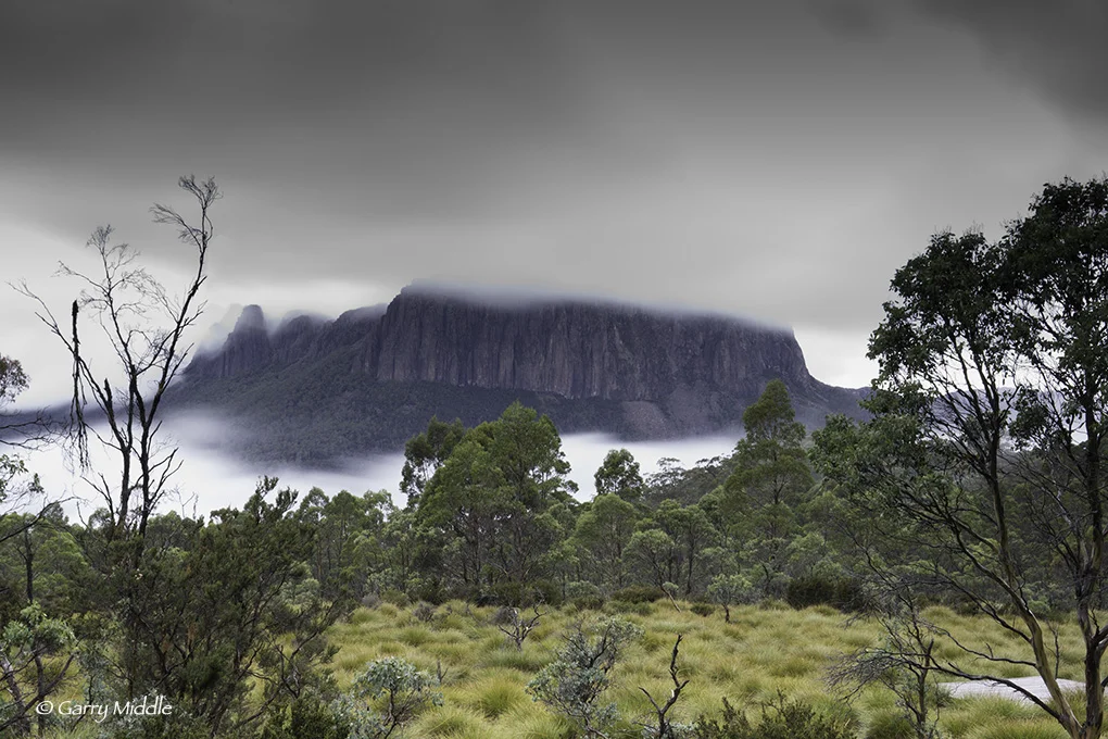 Small_Copyright_Morning Cloud Mt Oakleigh.jpg