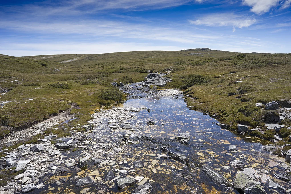 Small_Copyright_Plateau Creek.jpg