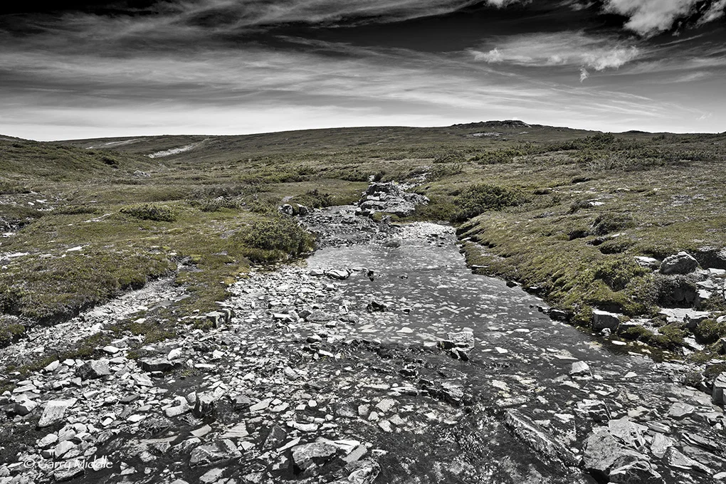 Small_Copyright_Plateau Creek B&W&Green.jpg