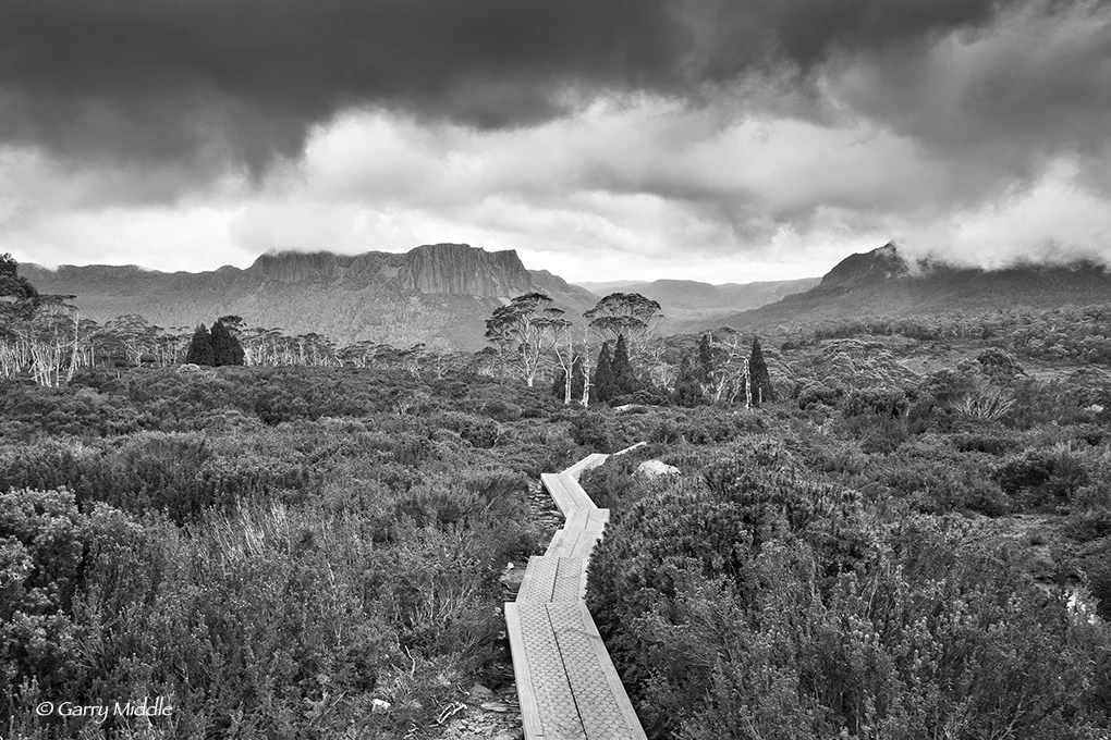 View of Ducane Range B&W 2.jpg