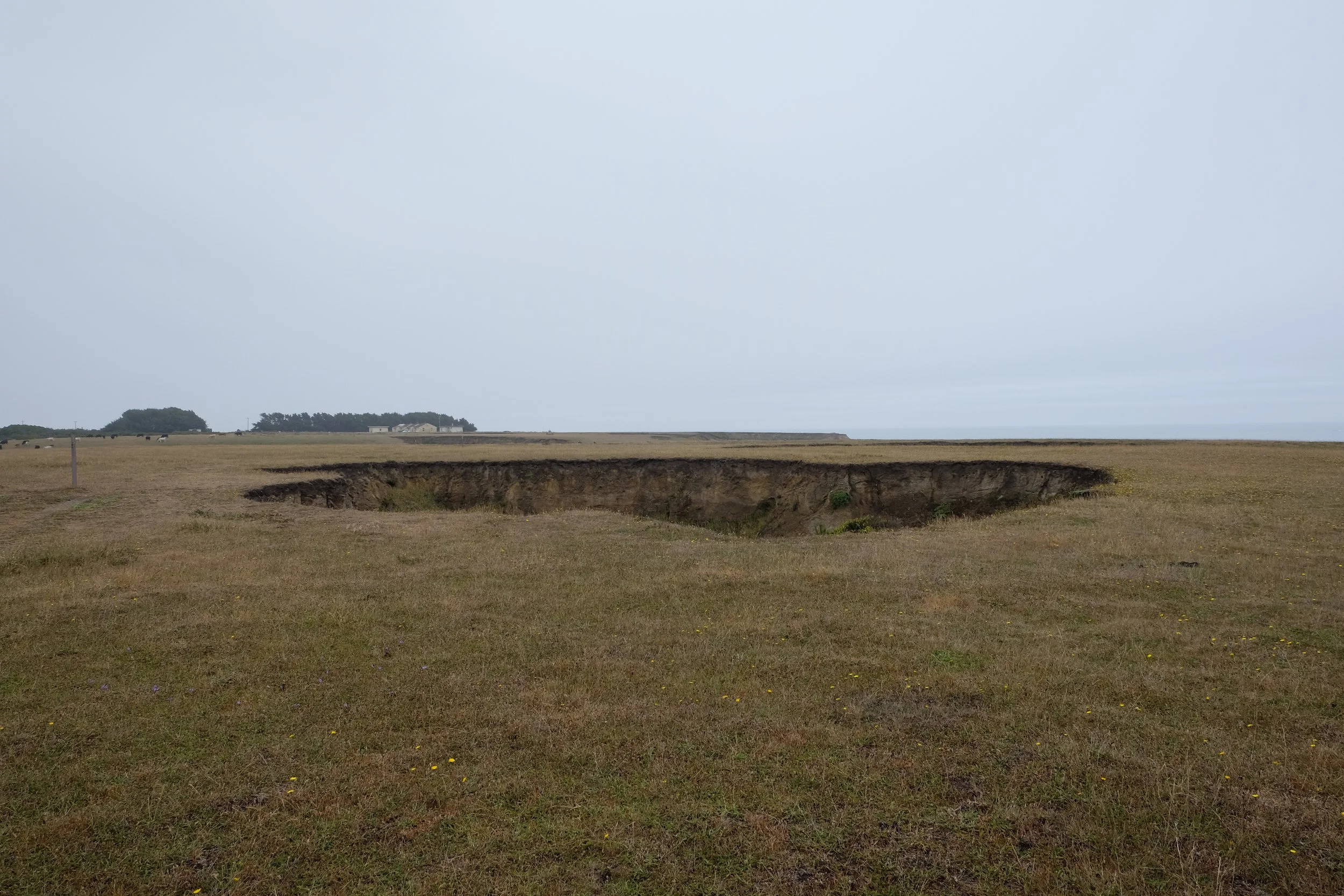 DSCF0270.jpg