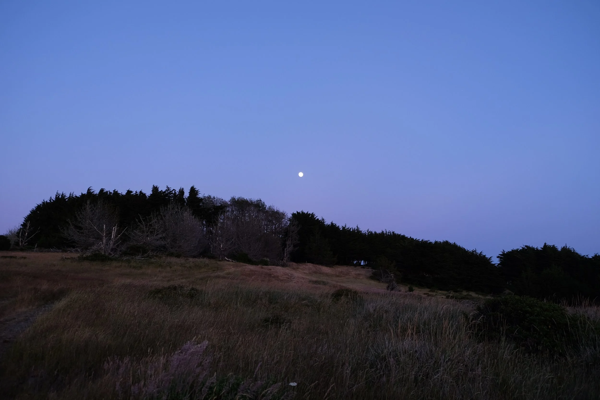 DSCF0378.jpg