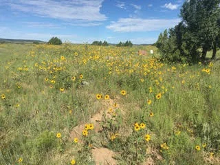 Cemetery, Folsom, New Mexico Photograph by Author
